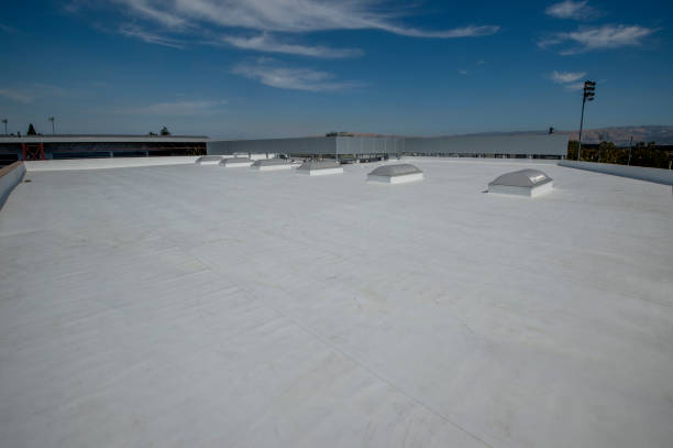 Best Asphalt Shingle Roofing  in Melville, RI